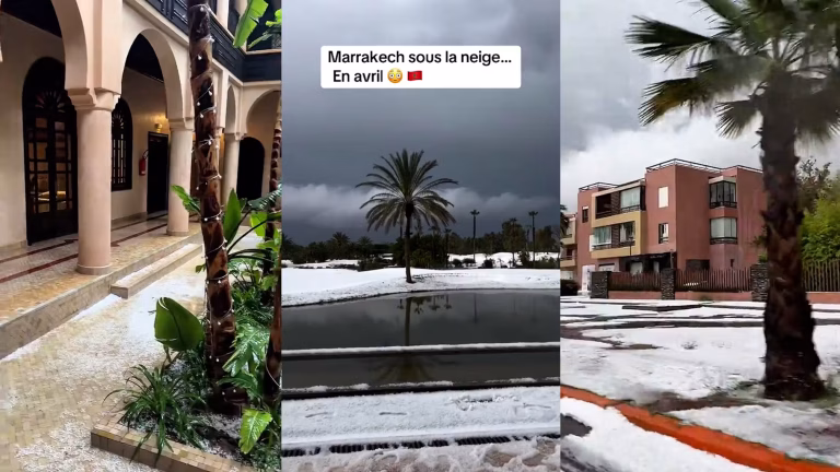 Marrakech sous la neige : un printemps qui ne tient pas ses promesses