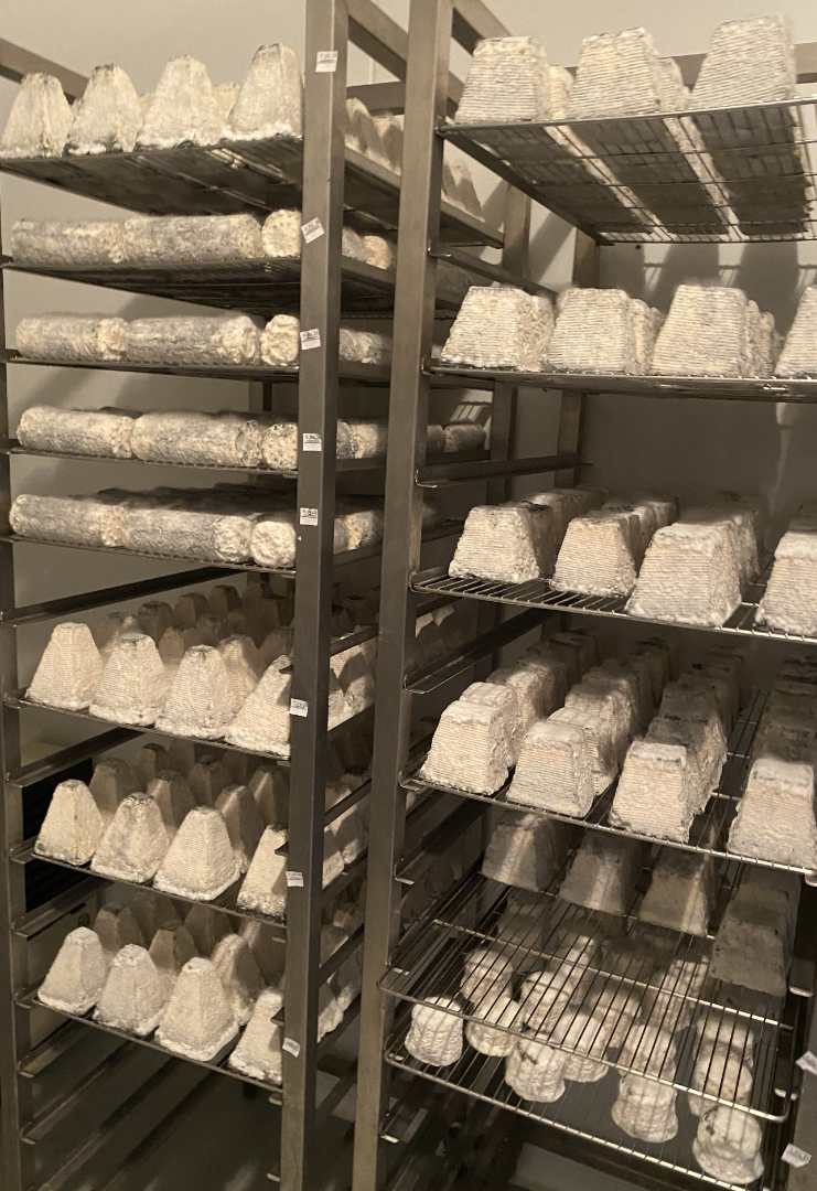 Rappel de Produits : Analyse et Implications