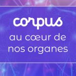 Corpus : Quand les autorités locales transforment nos lois en organes de contrôle excessif !