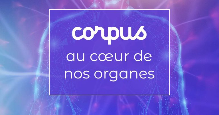 Corpus : Quand les autorités locales transforment nos lois en organes de contrôle excessif !