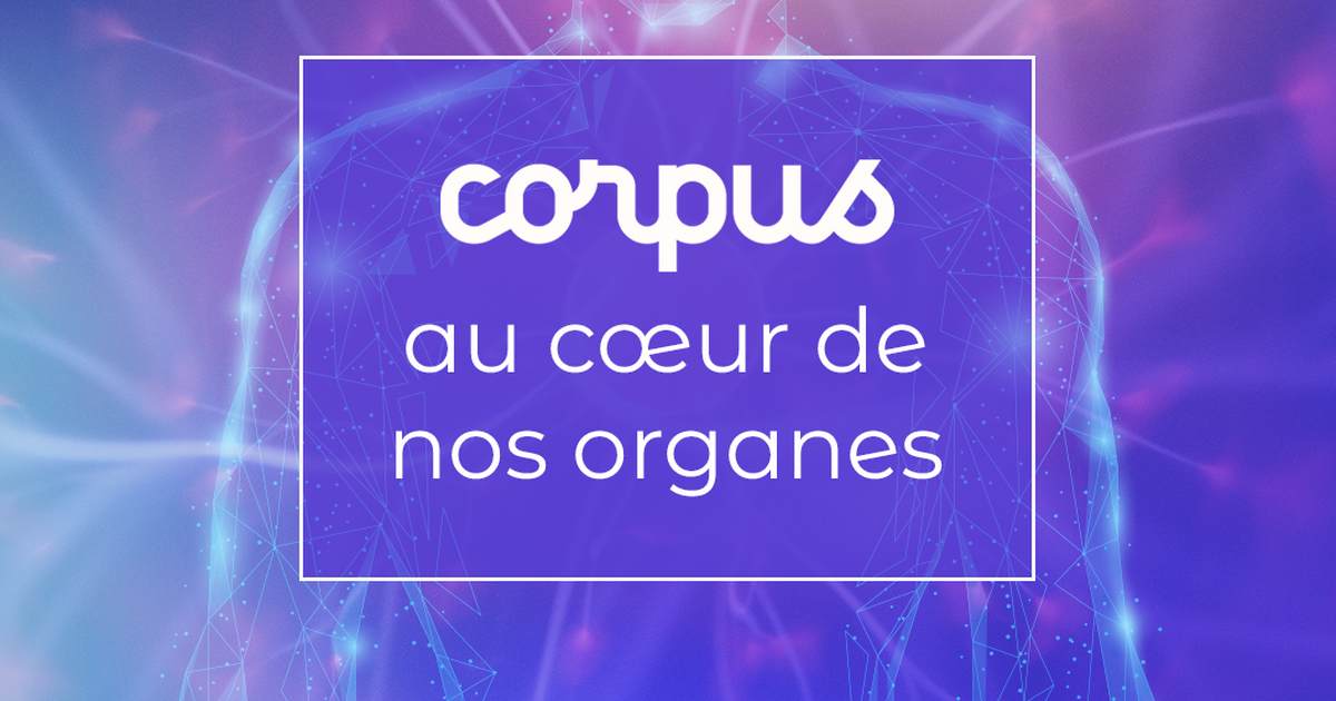 Corpus, au cœur des organes