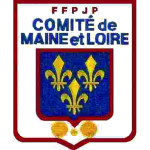 La Pétanque : Un Sport Traditionnel en Mutation