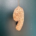 Image illustrant le contenu de l’article.