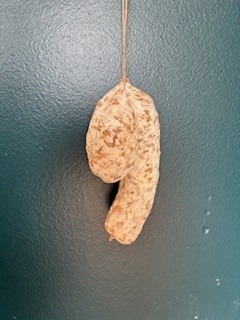 Image illustrant le contenu de l’article.