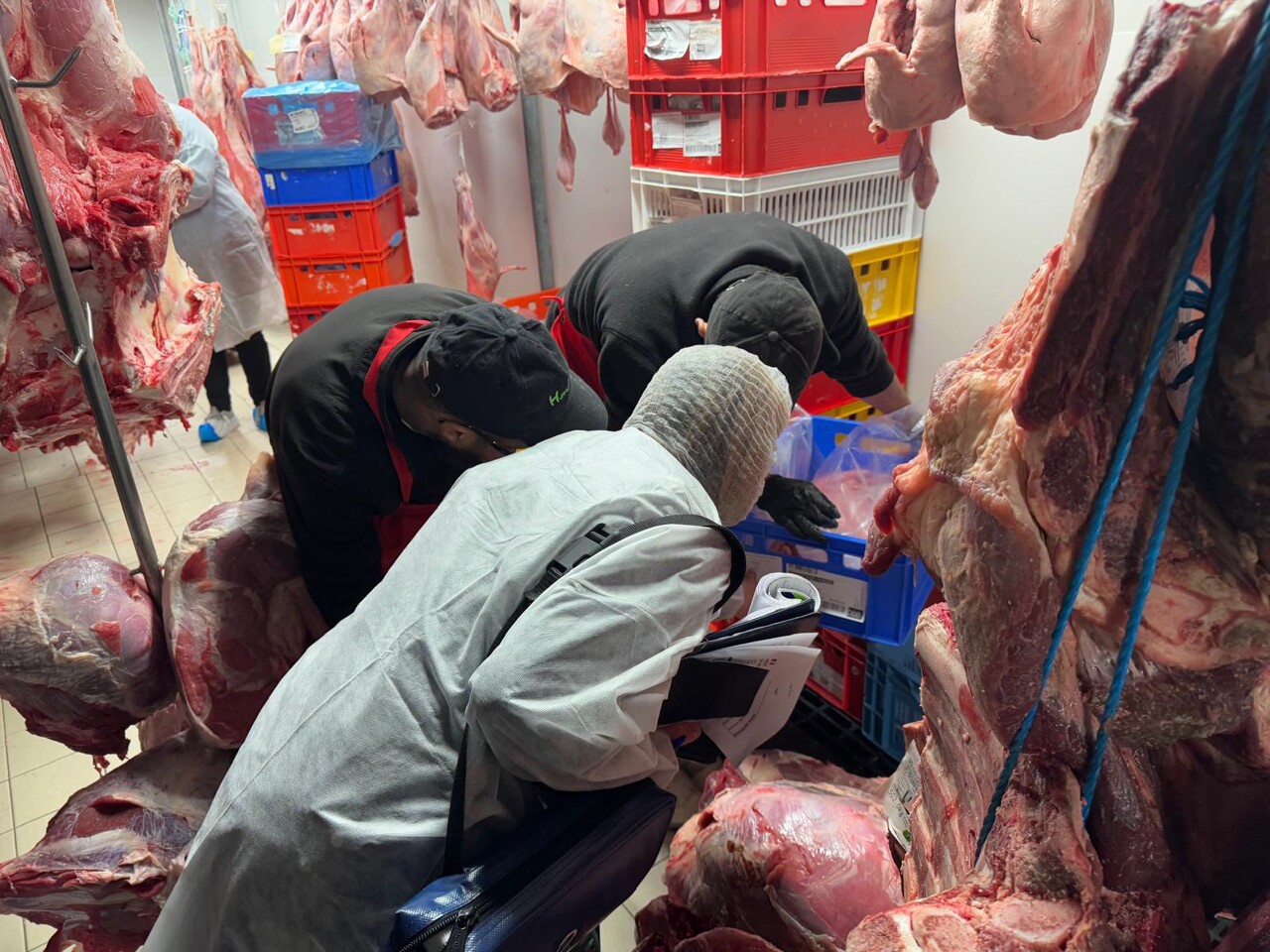 Contrôle sanitaire dans le Val-d'Oise : 215 kg de viande détruits, 62 produits périmés dans le supermarché