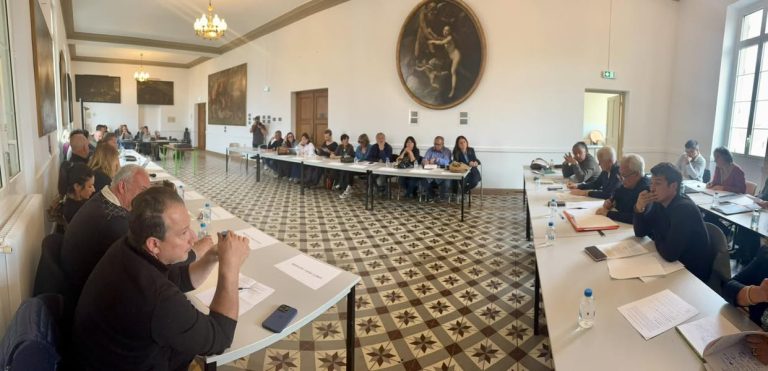 Quand le Conseil Municipal se prend pour un cirque : un spectacle de décisions absurdes