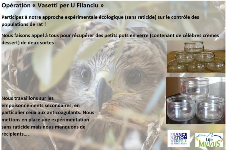 Vasetti per u filanciu : une opération révélatrice sur les enjeux économiques insulaires