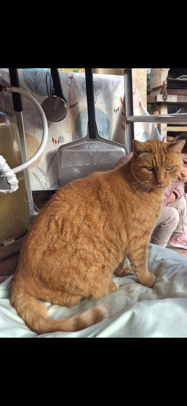 Pourquoi Anticiper Est Crucial pour Éviter les Pièges de la Planification de Voyage