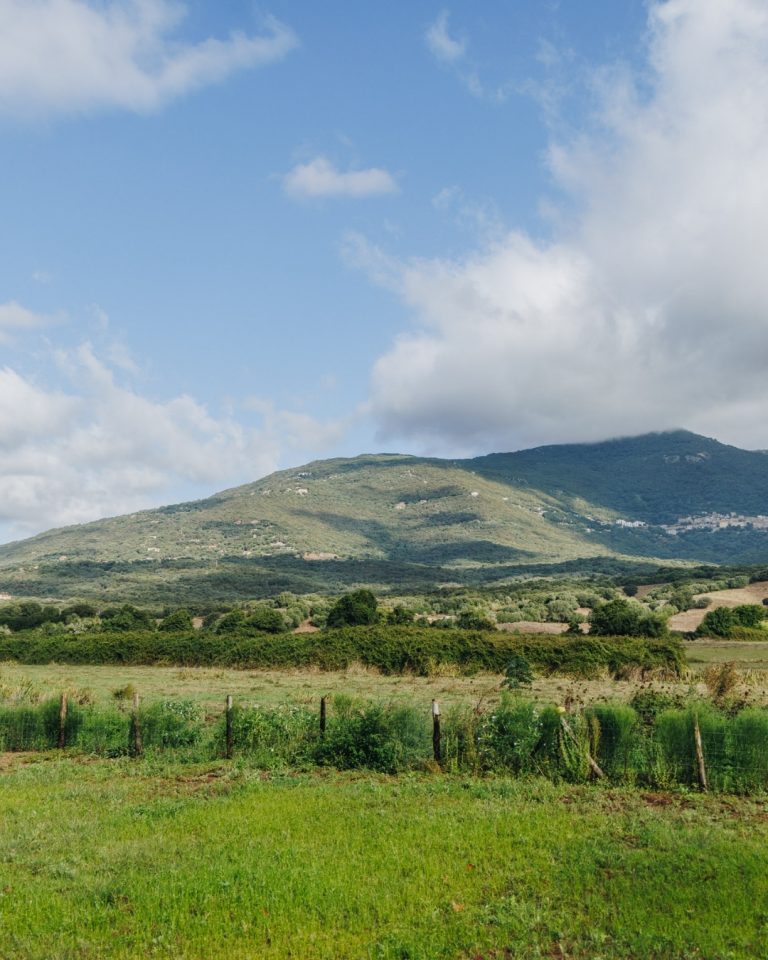 Les Bains de Baracci : Rénovation et Bien-Être à l&rsquo;Honneur