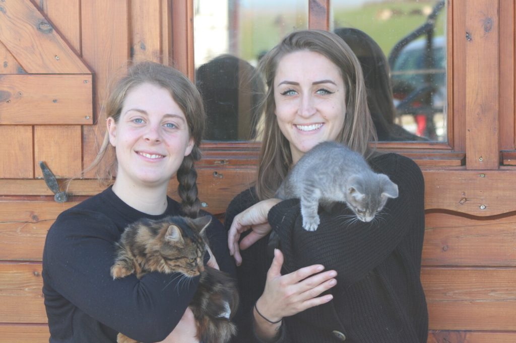 200 animaux recueillis dans cette ferme pédagogique de Seine-et-Marne : quelles nouveautés cette année ?