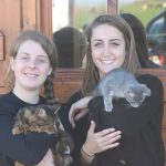 200 animaux recueillis dans cette ferme pédagogique de Seine-et-Marne : quelles nouveautés cette année ?