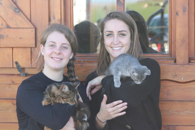 200 animaux recueillis dans cette ferme pédagogique de Seine-et-Marne : quelles nouveautés cette année ?