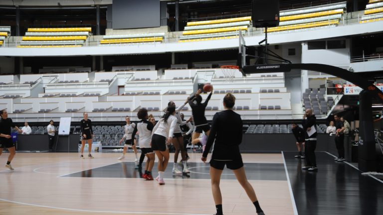 Le Basket, un Sport à Dédicaces : La Comédie du Système