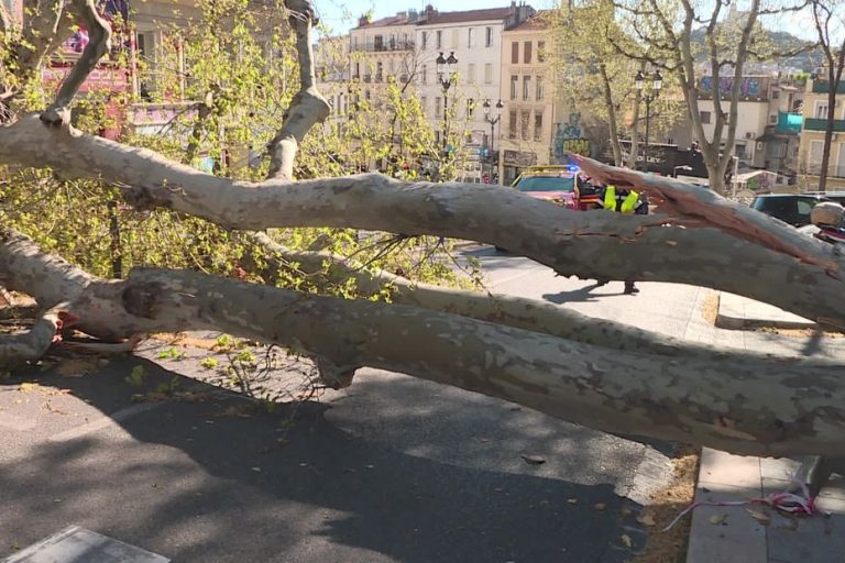 Mistral : Quand le Vent Dévoile l’Incompétence des Autorités