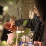 Le Cidre : Une Boisson à Réinventer