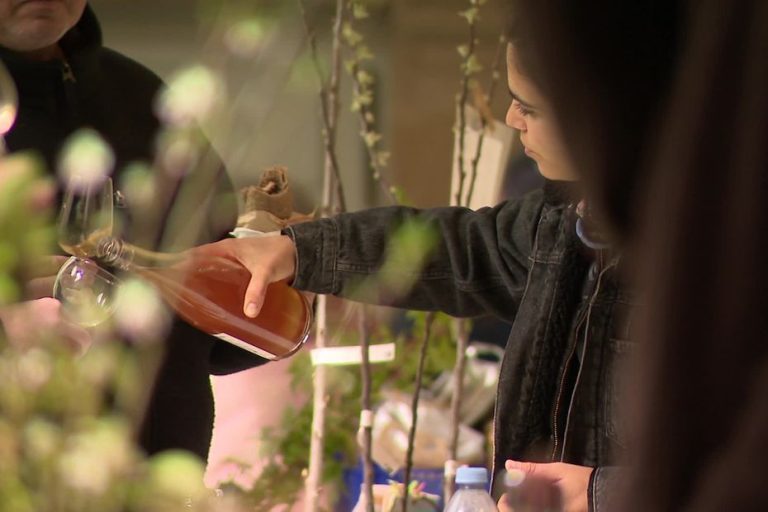 Le Cidre : Une Boisson à Réinventer