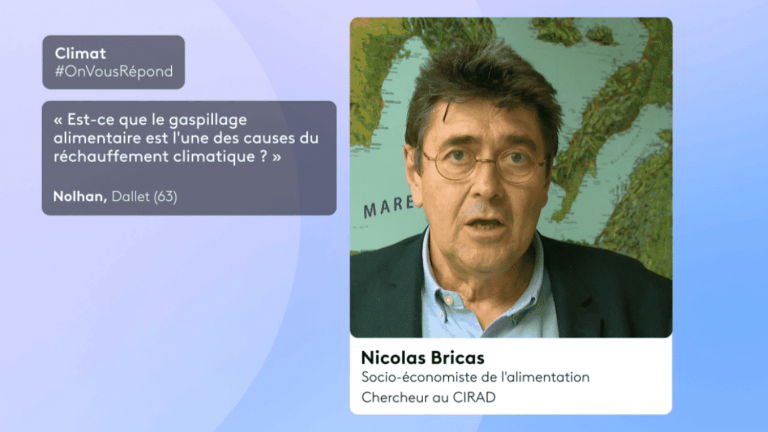 Gaspillage Alimentaire : Un Enjeu Climatique Majeur