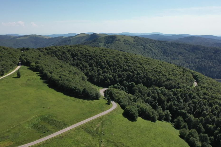 Ça va être l'enfer là-haut pour les oiseaux, en pleine période de reproduction, des associations critiquent la réouverture précoce de la route des Crêtes