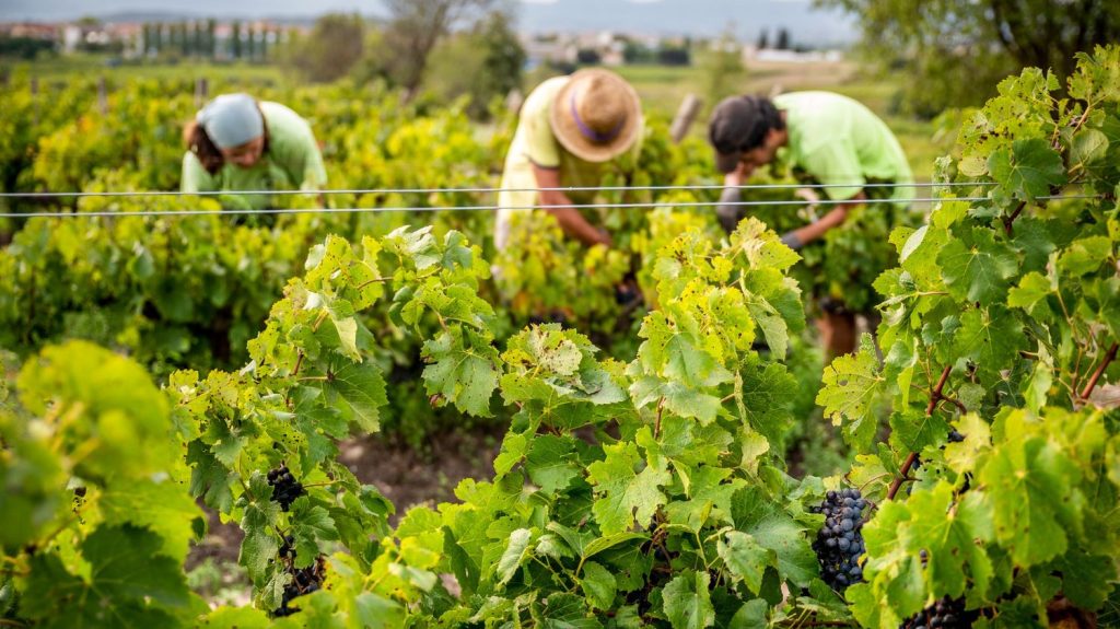 Espagne : Quand les CDD deviennent un cirque absurde, les dirigeants conservateurs en première loge !