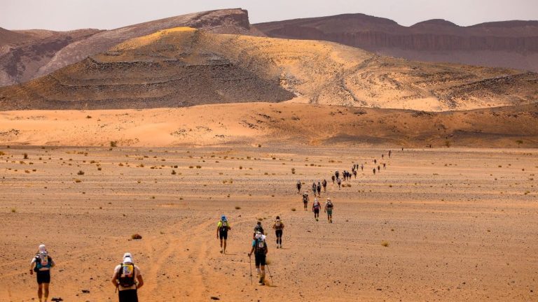 Marathon des Sables : entre conteneurs réfrigérés et absurdités locales, les dirigeants conservateurs à la traîne !