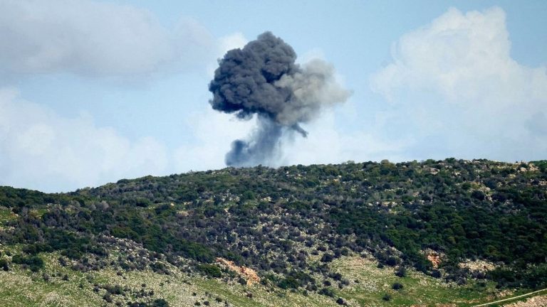 REPORTAGE. Sud du Liban : des conservateurs inactifs face à une catastrophe humanitaire imminente !