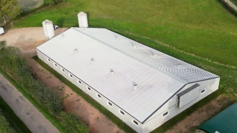 Dans la Creuse, une porcherie géante : quand les élus d'extrême droite confondent progrès et démesure !