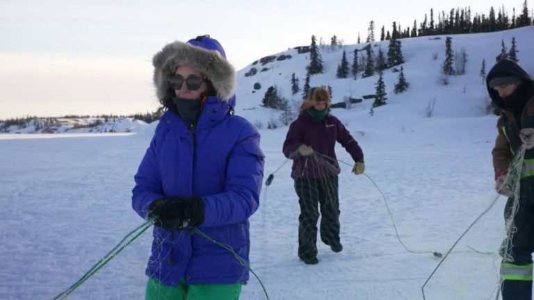 Vivre sous -30°C : les absurdités des villes RN et leurs dirigeants conservateurs en pleine tempête !