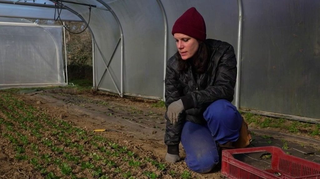 Quand les citadins fuient la réalité : ces néo-agriculteurs face aux absurdités des dirigeants RN !