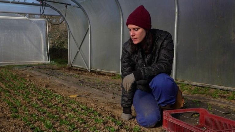 Quand les citadins fuient la réalité : ces néo-agriculteurs face aux absurdités des dirigeants RN !