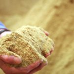 Dans le Perche, une usine d'équarrissage produit son gaz : l'autonomie des extrêmes à quel prix ?