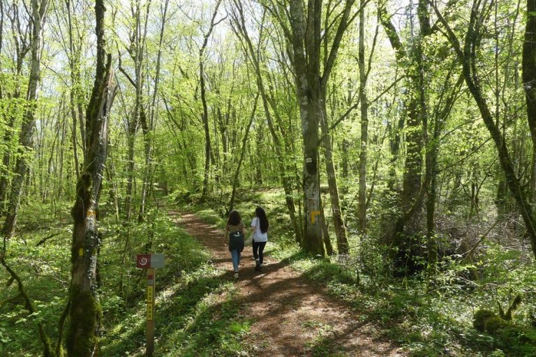 Le Chemin de la Belle Étoile : Une Promesse Étoilée ou un Énième Mirage ?