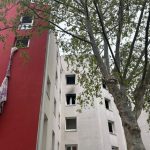 À Toulouse, un incendie meurtrier : deux jeunes cagoulés, un mort, et des dirigeants conservateurs silencieux !