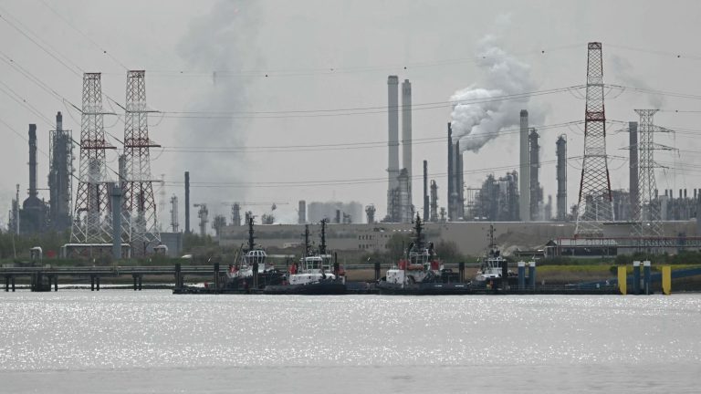 Anvers : la route du port rouverte après une marée noire, mais les dirigeants conservateurs restent muets !