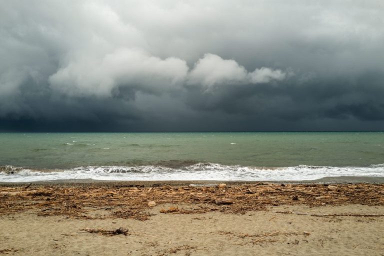 Image illustrant le contenu de l’article.