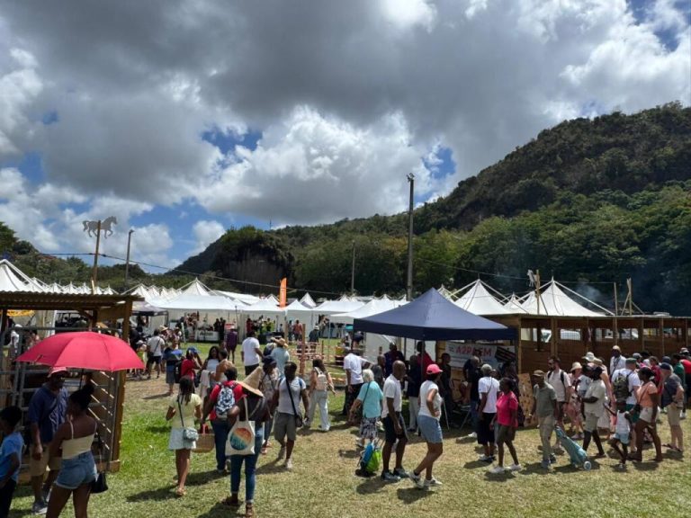 Foire Agricole : Un Festival de Contradictions sous le Signe du « Coco Richès Péyi-a »