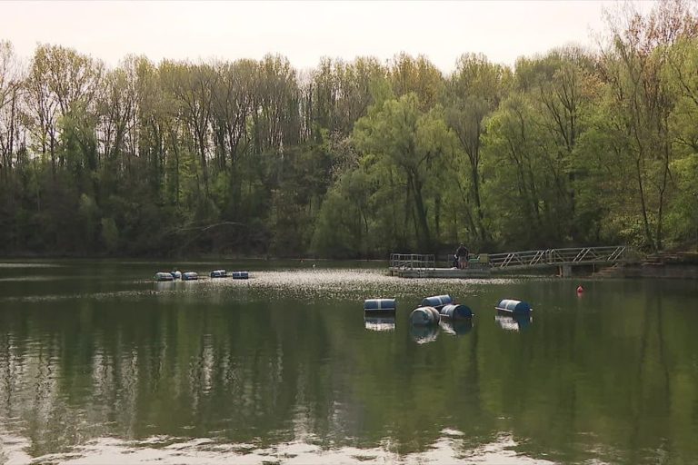 Tragédie sous l&rsquo;eau : Quand la plongée devient un drame