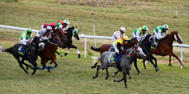 Grand Prix Hippique : Une Promesse Équestre ou un Galop vers l&rsquo;Absurde ?