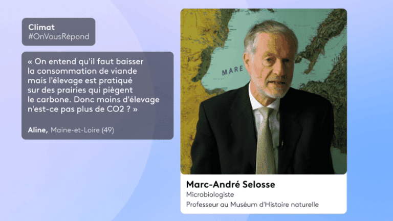 Quel est le véritable impact de l’élevage sur le climat ?