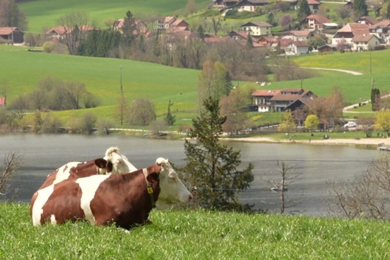Vitesse et sécurité autour du lac Saint-Point : un débat qui tourne en rond
