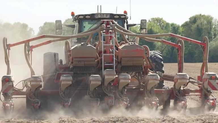 La Guerre des Engrais : Quand le Conflit au Moyen-Orient Plombe l’Agriculture Française