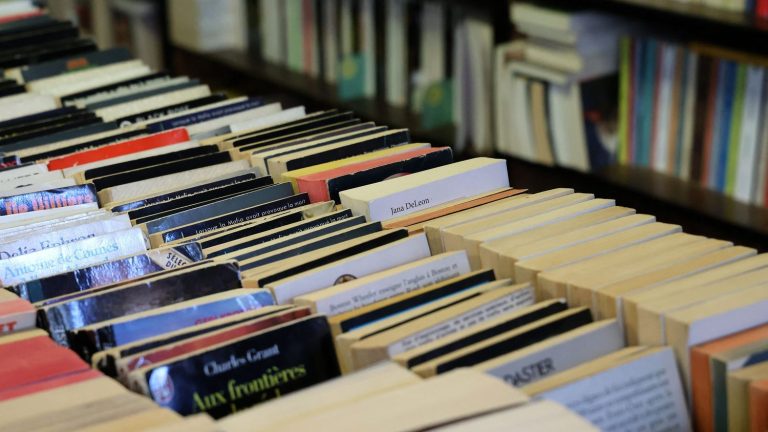 Écrivains en Révolte : Quand l&rsquo;Édition Dévoile ses Contradictions