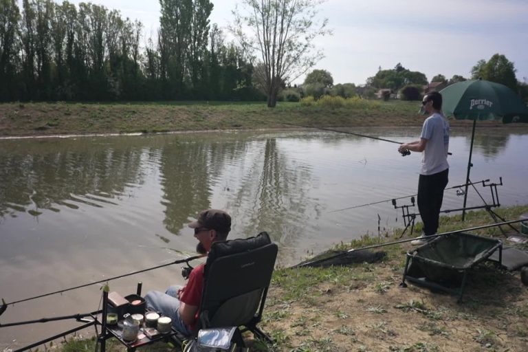 Savigny-Lévescault : Une Réouverture Qui S&rsquo;annonce Prometteuse