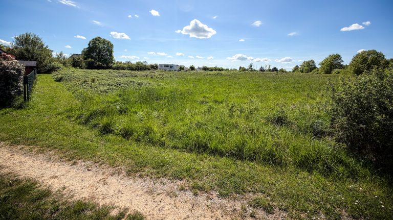 Pocé-sur-Cisse : un projet de logements à l’arrêt, le rêve d’un quartier résidentiel s’effondre