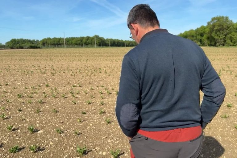 Quotas d&rsquo;irrigation et sécheresse : comment les agriculteurs font face aux choix difficiles