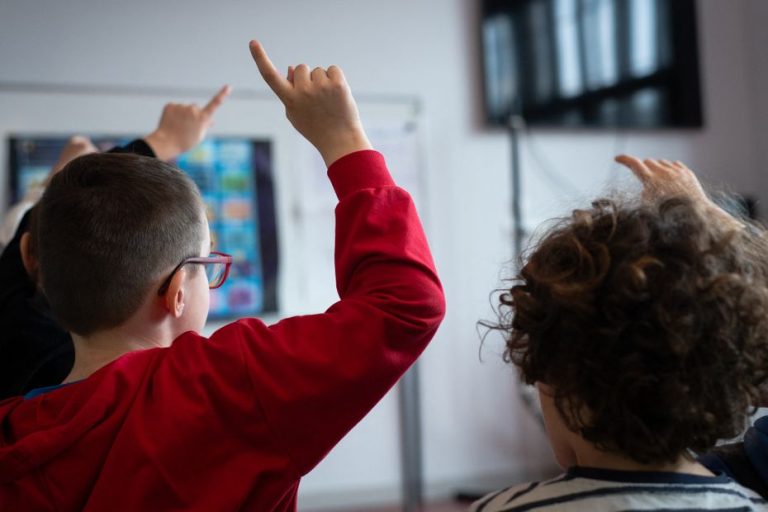 La Nouvelle Carte Scolaire en Limousin : Un Équilibre Fragile