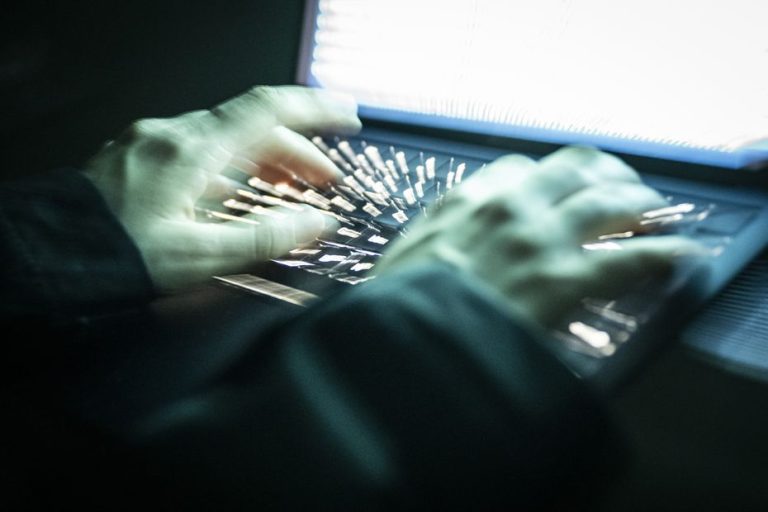 Cyberattaques en France : un jeune Vendéen interpellé