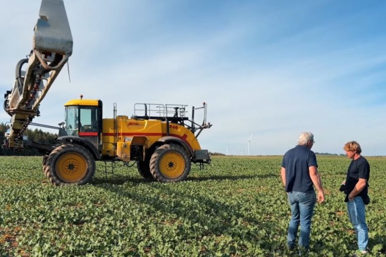 Engrais coûteux : les agriculteurs face à une alternative naturelle et économique