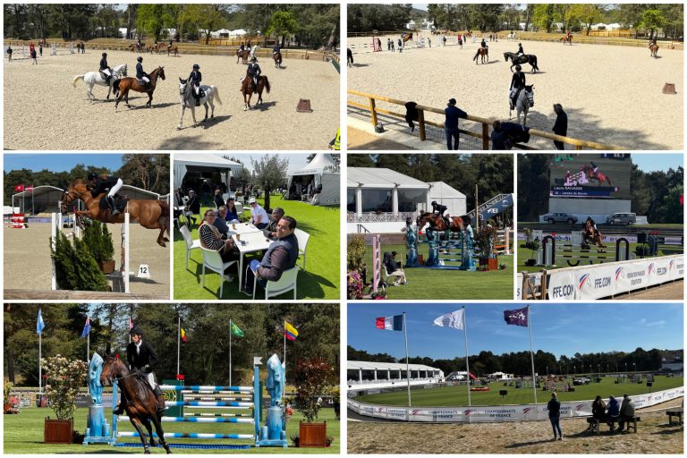Découvrez pourquoi le Grand Parquet de Fontainebleau est une expérience à ne pas manquer