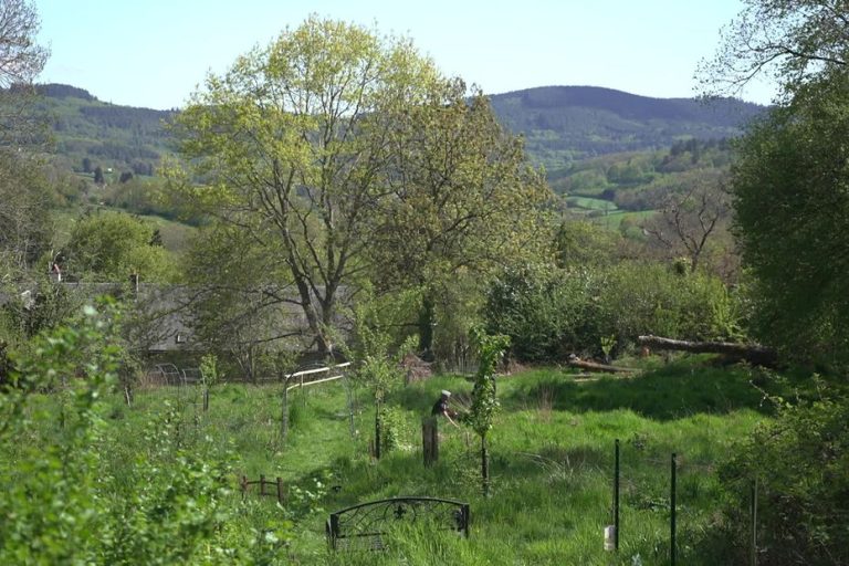Chris Paggi et son Jardin-Forêt : Une Initiative Écologique au Cœur du Morvan
