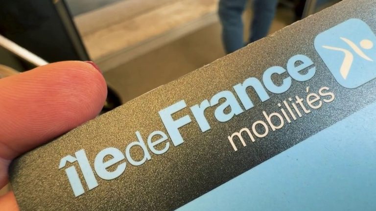 Système de Contrôle des Voyageurs par la RATP : Une Pratique Contestée